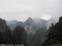 x����ľ����Ƶ������Ů������6Ѯ��ͷ���� ��׽��󱻰ǹ�Ź��(ͼ)...